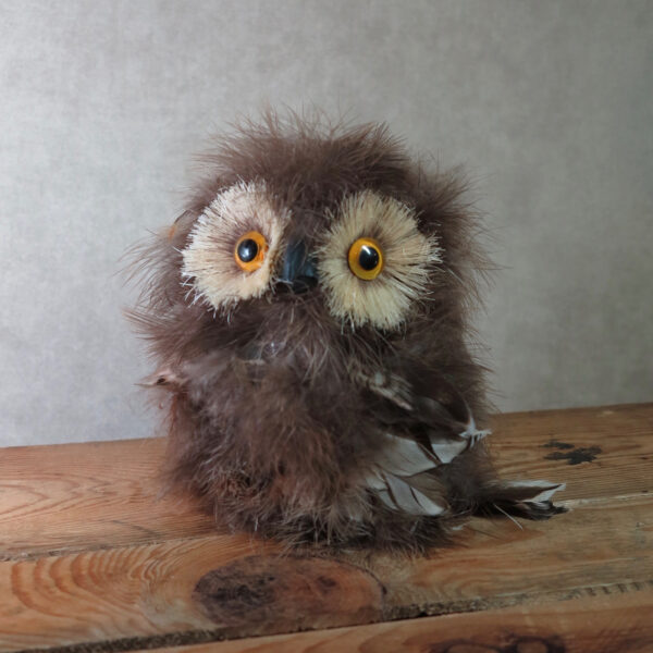 brown feather owl home decor