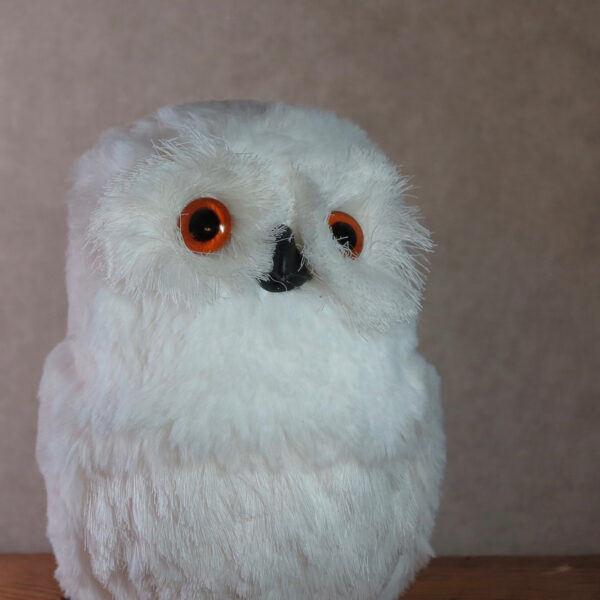 large snowy owl home decor winter face