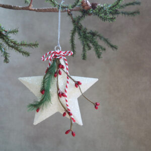 white star ornament with pine and red berries by sarah binder