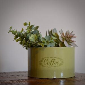 Green Coffee Tin with Succulents Square