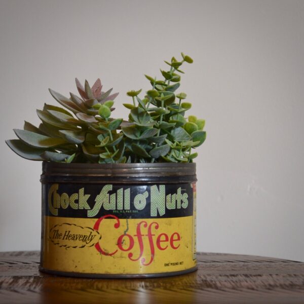 Vintage Chock Full O Nuts Coffee Tin Yellow Green Red with Succulents Feature Image