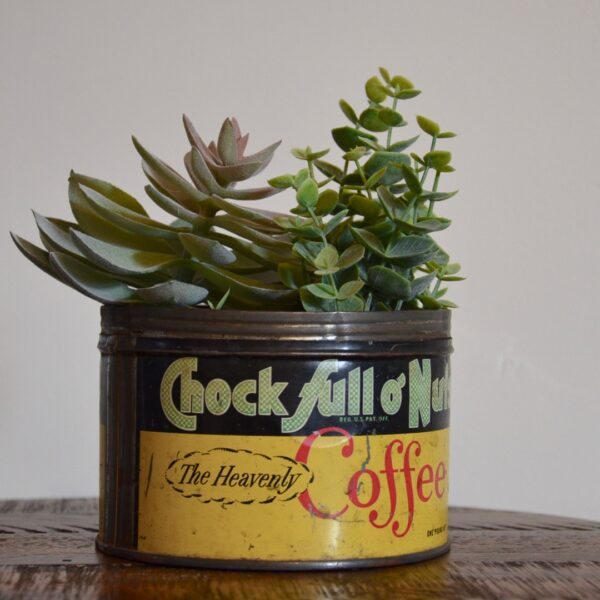 Vintage Chock Full O Nuts Coffee Tin Yellow Green Red with Succulents Tilted