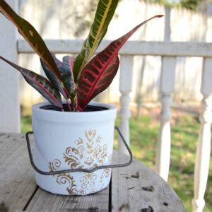 butter crock repurposed into a planter painted white with metallic decorative stencil and original metal handle pictured with potted plant inside
