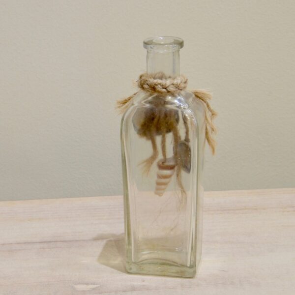 Seashell and Twine Decorated Vintage Jar back view